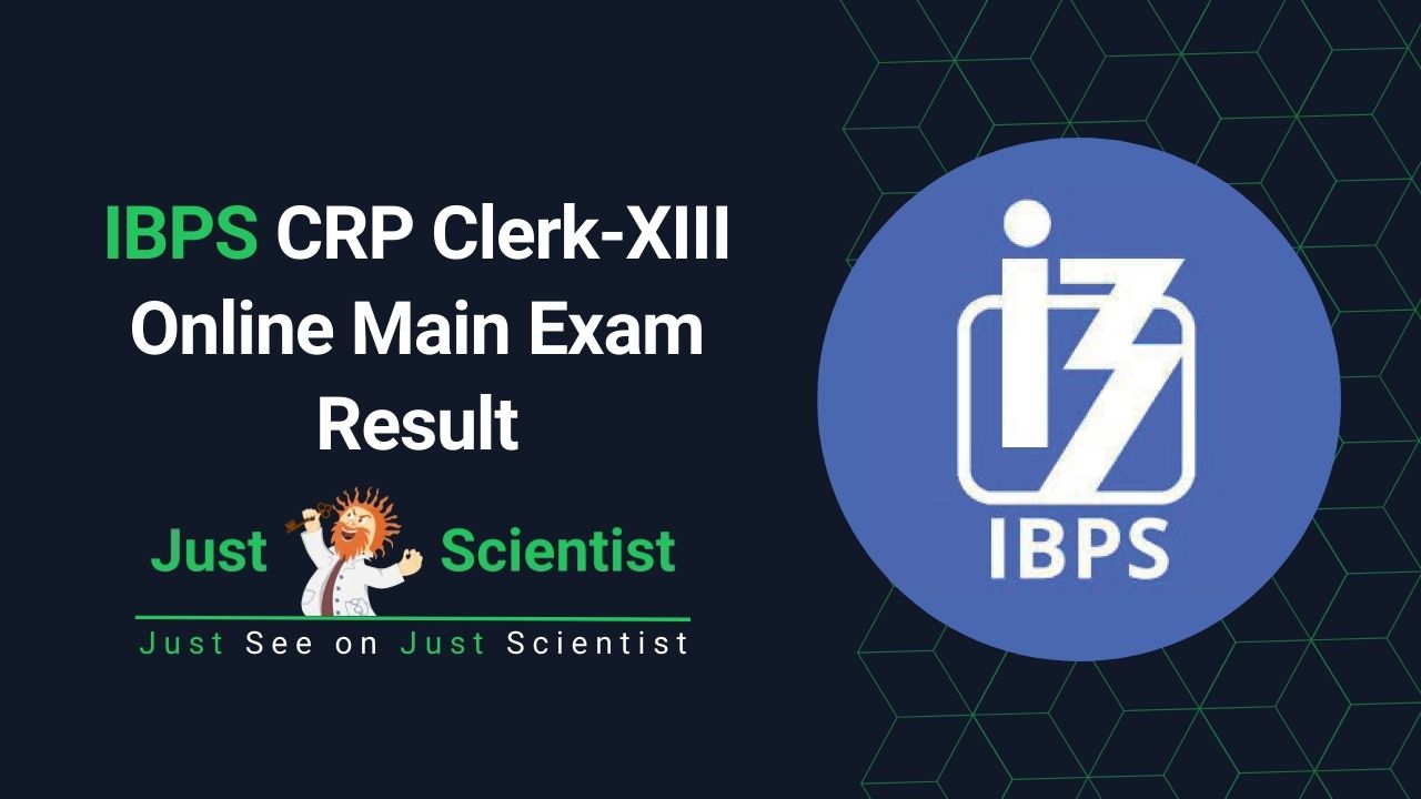 IBPS CRP Clerk-XIII Online Main Exam Result
