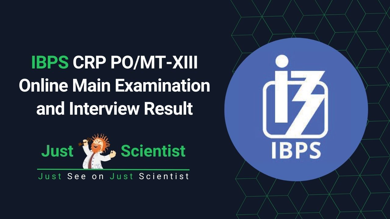 IBPS CRP PO/MT-XIII Online Main Examination and Interview Result