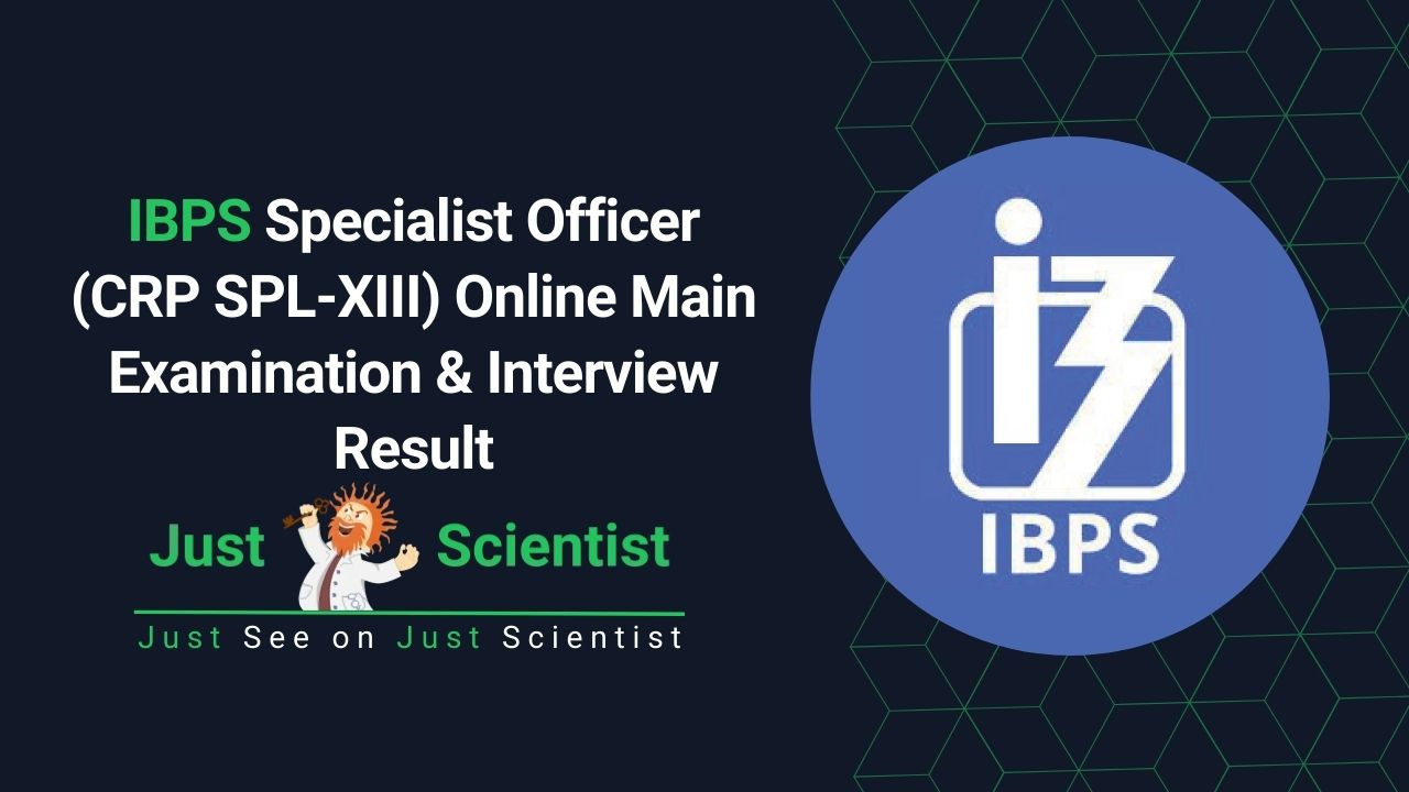 IBPS Specialist Officer (CRP SPL-XIII) Online Main Examination & Interview Result